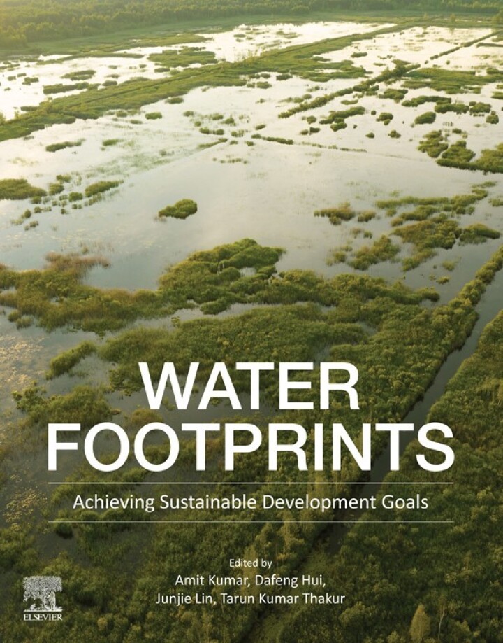 Water Footprints: Achieving Sustainable Development Goals