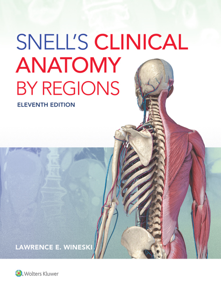 Snell's Clinical Anatomy by Regions 11th Edition