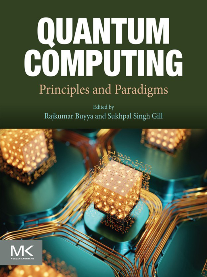 Quantum Computing: Principles and Paradigms