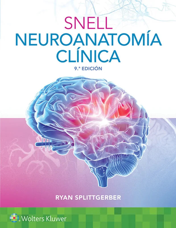 Snell. Neuroanatomía clínica (Spanish Edition) 9th Edition