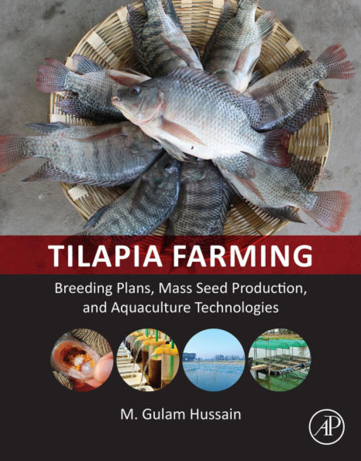 Tilapia Farming: Breeding Plans, Mass Seed Production, and Aquaculture Technologies