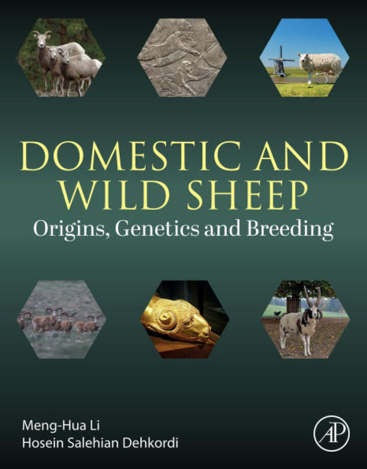 Domestic and Wild Sheep: Origins, Genetics and Breeding